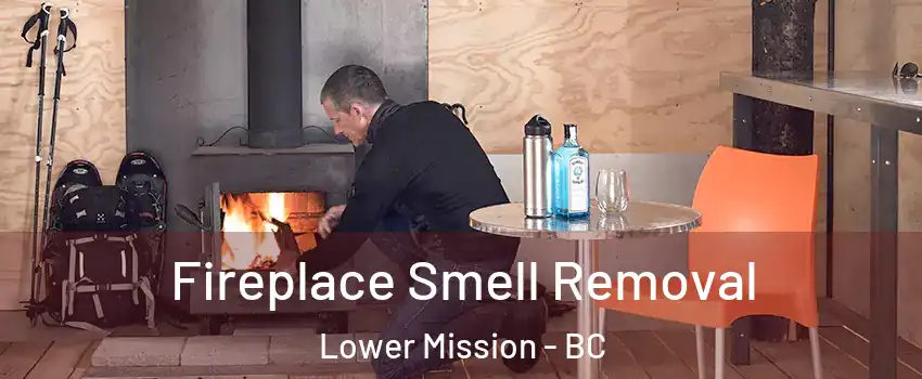  Fireplace Smell Removal Lower Mission - BC