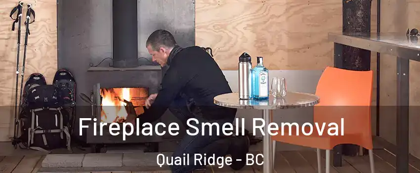 Fireplace Smell Removal Quail Ridge - BC