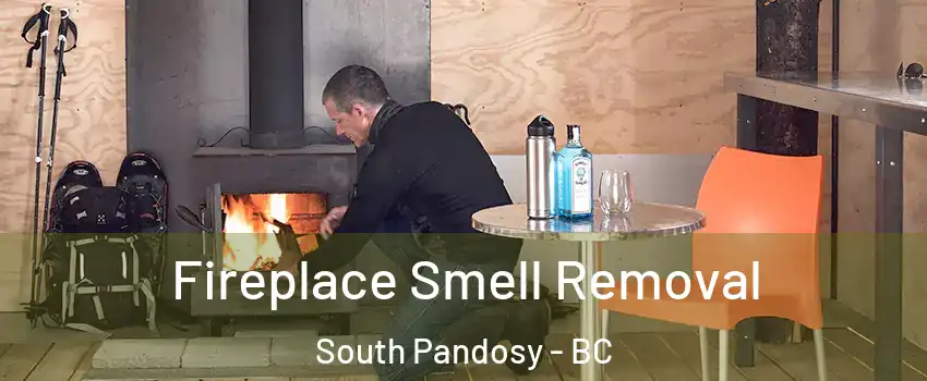  Fireplace Smell Removal South Pandosy - BC