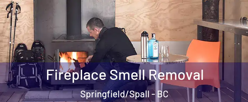  Fireplace Smell Removal Springfield/Spall - BC