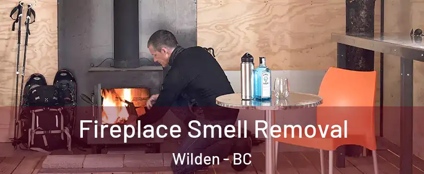  Fireplace Smell Removal Wilden - BC