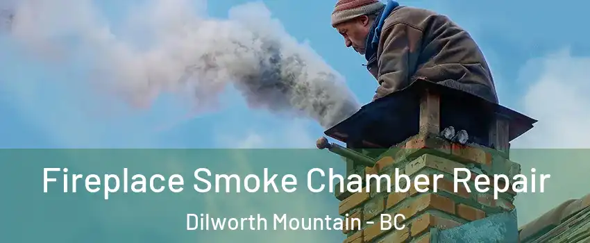 Fireplace Smoke Chamber Repair Dilworth Mountain - BC