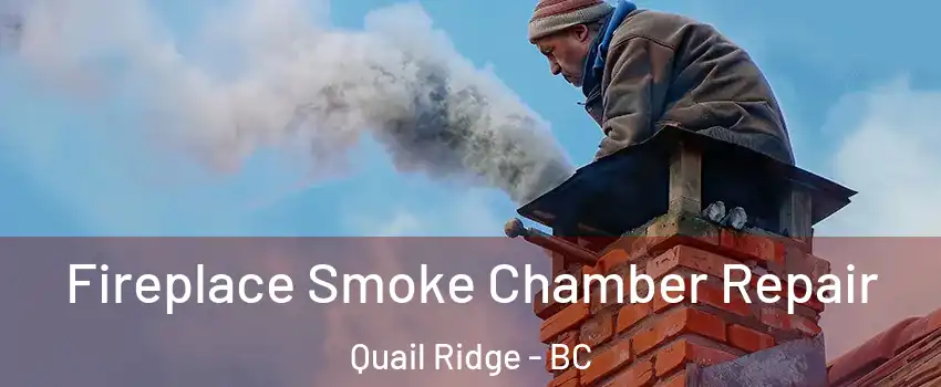  Fireplace Smoke Chamber Repair Quail Ridge - BC