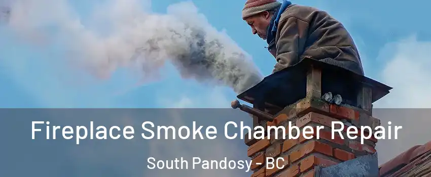  Fireplace Smoke Chamber Repair South Pandosy - BC