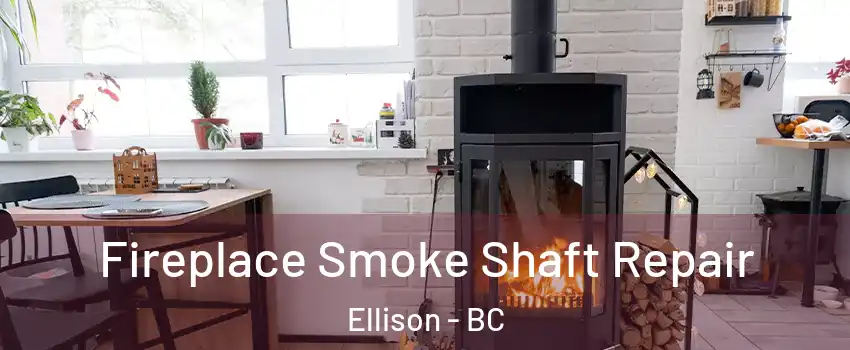  Fireplace Smoke Shaft Repair Ellison - BC
