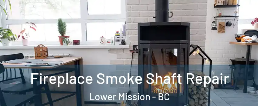  Fireplace Smoke Shaft Repair Lower Mission - BC