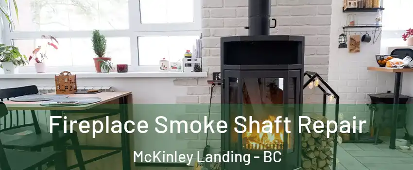  Fireplace Smoke Shaft Repair McKinley Landing - BC