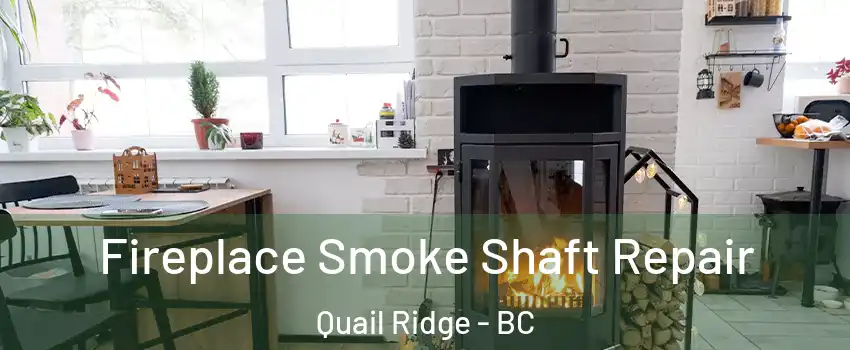  Fireplace Smoke Shaft Repair Quail Ridge - BC