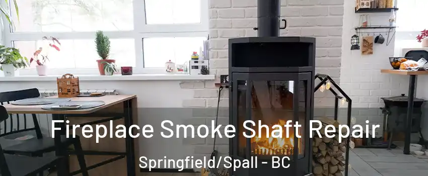  Fireplace Smoke Shaft Repair Springfield/Spall - BC