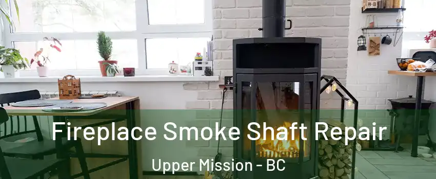  Fireplace Smoke Shaft Repair Upper Mission - BC