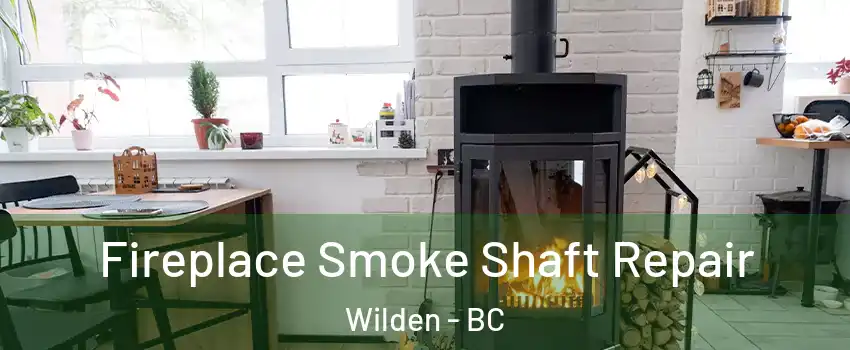  Fireplace Smoke Shaft Repair Wilden - BC