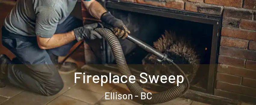  Fireplace Sweep Ellison - BC