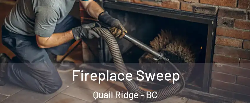  Fireplace Sweep Quail Ridge - BC