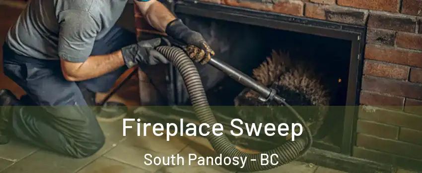  Fireplace Sweep South Pandosy - BC