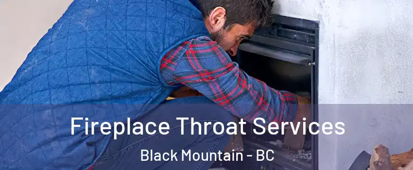  Fireplace Throat Services Black Mountain - BC