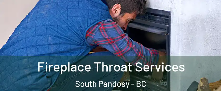  Fireplace Throat Services South Pandosy - BC