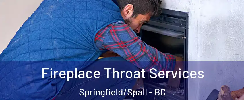  Fireplace Throat Services Springfield/Spall - BC