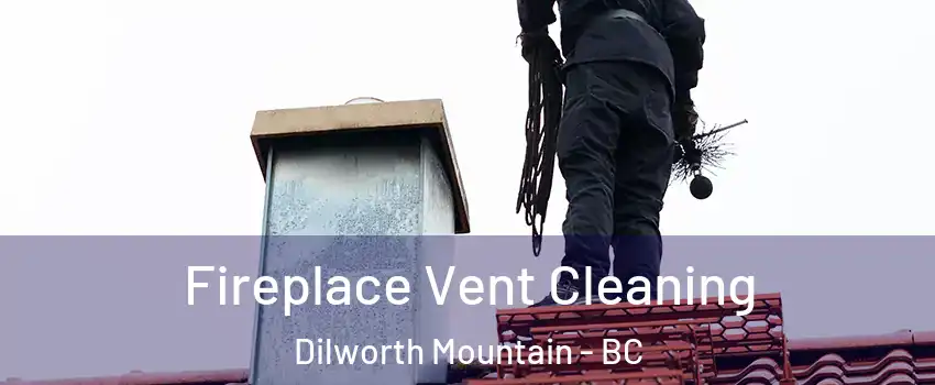  Fireplace Vent Cleaning Dilworth Mountain - BC
