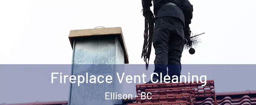  Fireplace Vent Cleaning Ellison - BC
