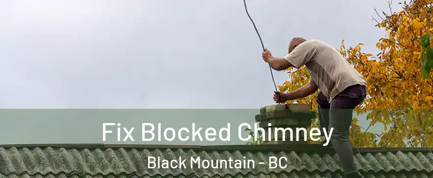  Fix Blocked Chimney Black Mountain - BC