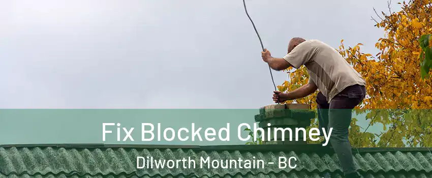  Fix Blocked Chimney Dilworth Mountain - BC