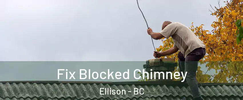  Fix Blocked Chimney Ellison - BC