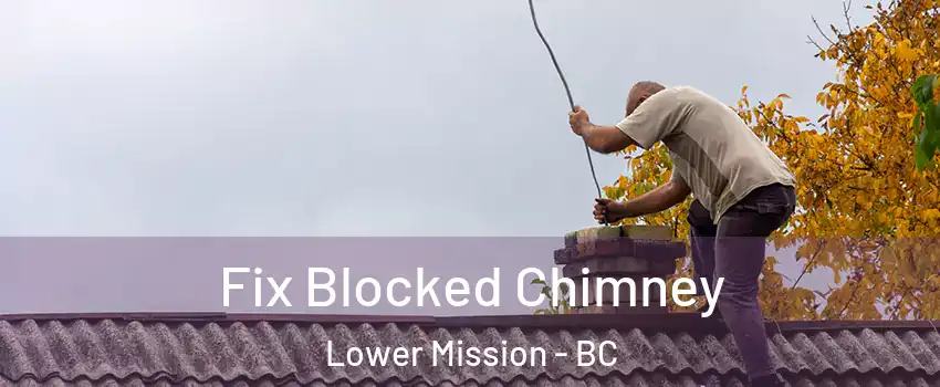  Fix Blocked Chimney Lower Mission - BC