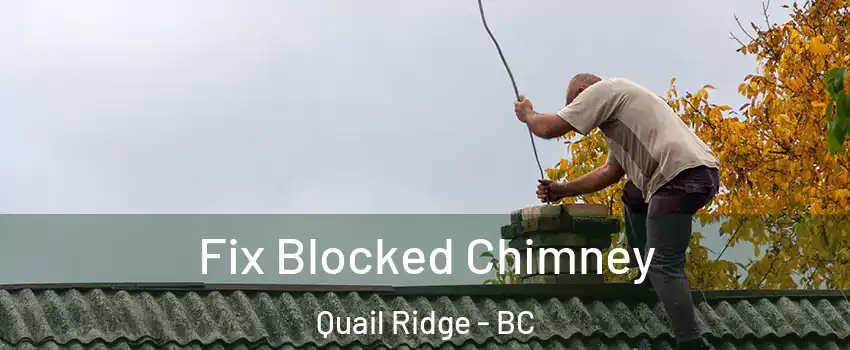  Fix Blocked Chimney Quail Ridge - BC