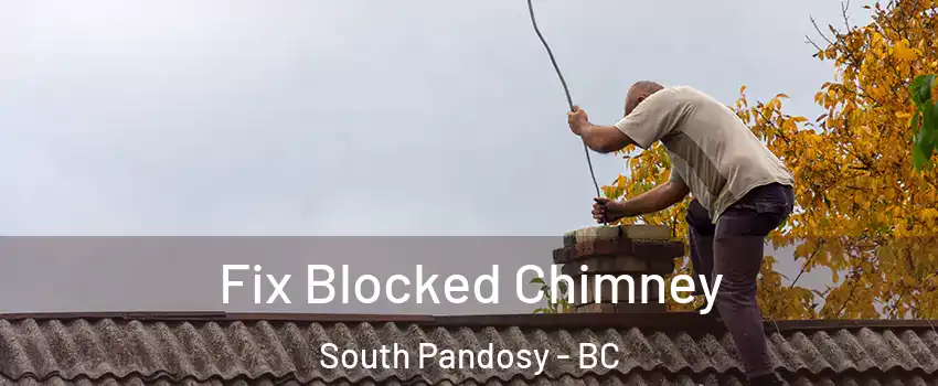  Fix Blocked Chimney South Pandosy - BC