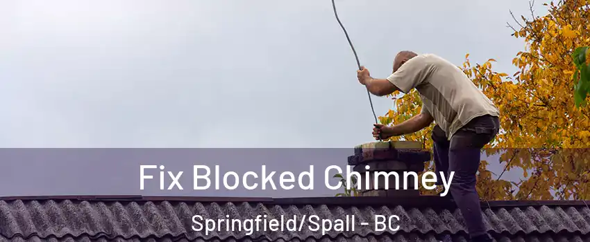  Fix Blocked Chimney Springfield/Spall - BC
