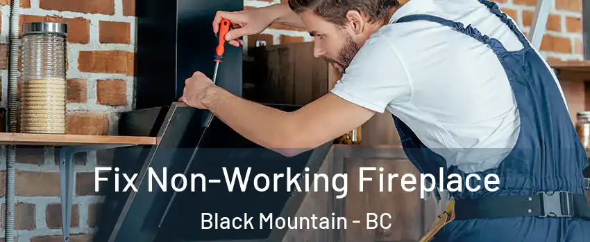  Fix Non-Working Fireplace Black Mountain - BC
