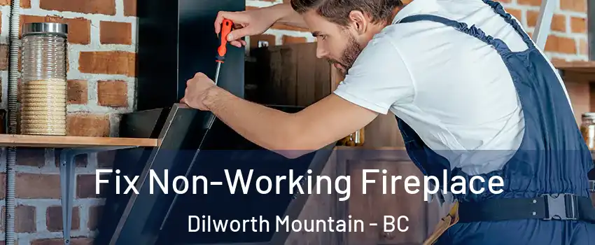  Fix Non-Working Fireplace Dilworth Mountain - BC