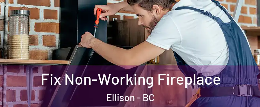  Fix Non-Working Fireplace Ellison - BC