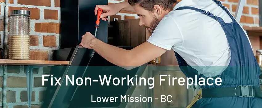  Fix Non-Working Fireplace Lower Mission - BC