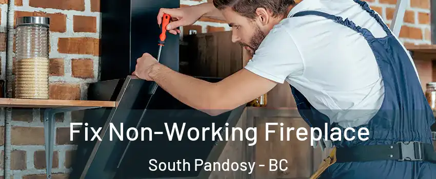  Fix Non-Working Fireplace South Pandosy - BC