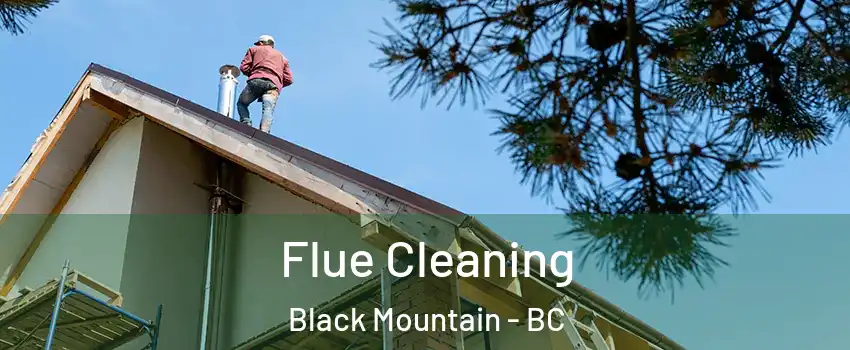 Flue Cleaning Black Mountain - BC