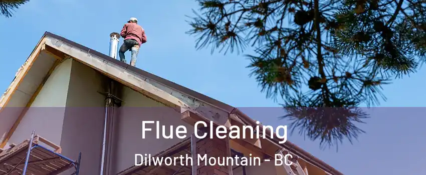  Flue Cleaning Dilworth Mountain - BC