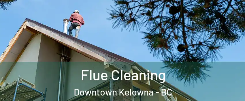  Flue Cleaning Downtown Kelowna - BC