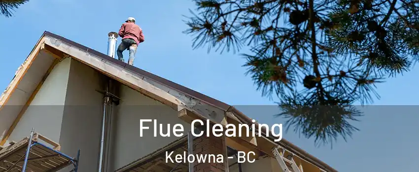  Flue Cleaning Kelowna - BC