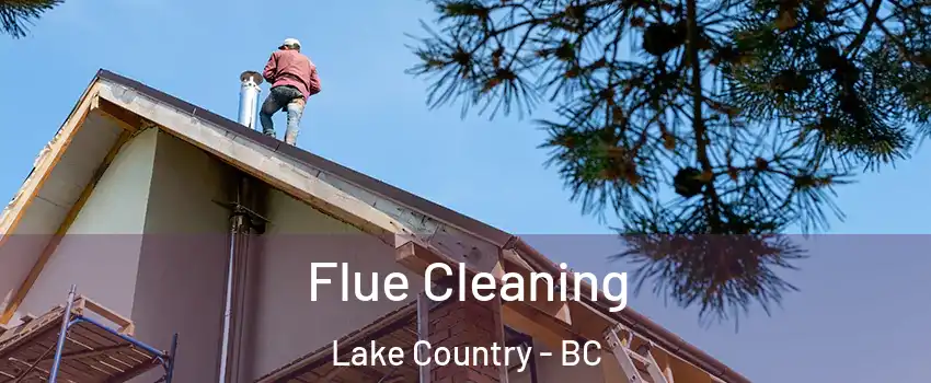  Flue Cleaning Lake Country - BC