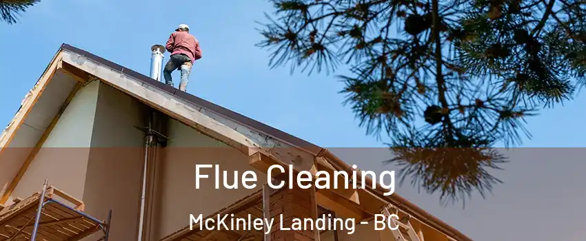  Flue Cleaning McKinley Landing - BC