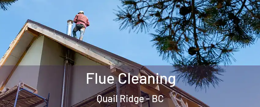  Flue Cleaning Quail Ridge - BC