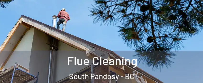  Flue Cleaning South Pandosy - BC