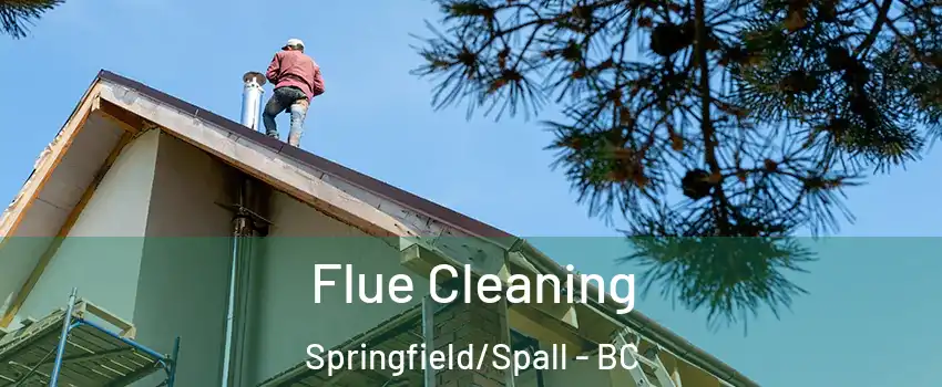  Flue Cleaning Springfield/Spall - BC