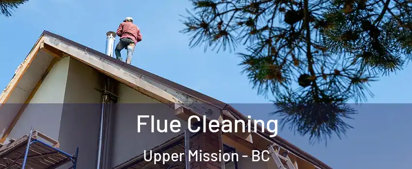  Flue Cleaning Upper Mission - BC