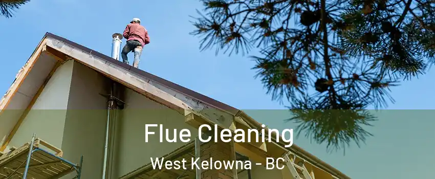  Flue Cleaning West Kelowna - BC