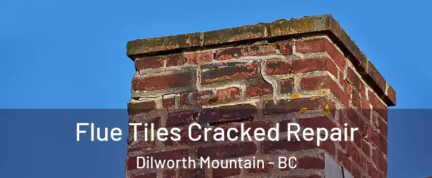  Flue Tiles Cracked Repair Dilworth Mountain - BC