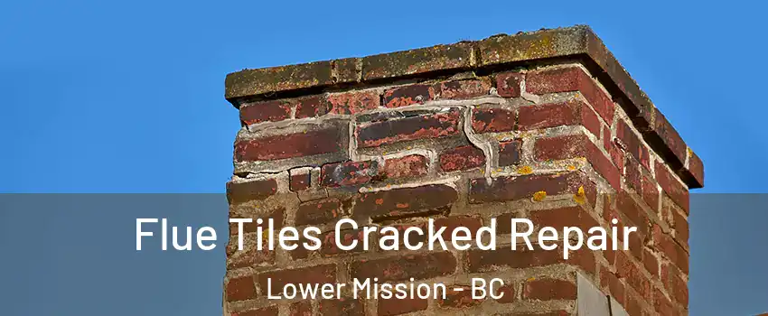  Flue Tiles Cracked Repair Lower Mission - BC
