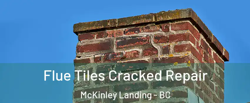  Flue Tiles Cracked Repair McKinley Landing - BC
