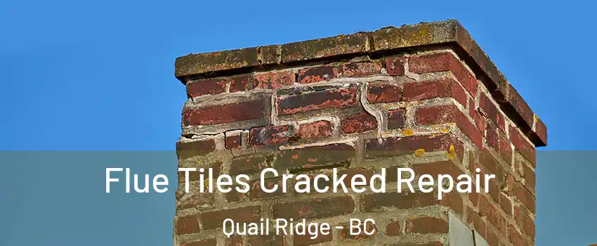  Flue Tiles Cracked Repair Quail Ridge - BC